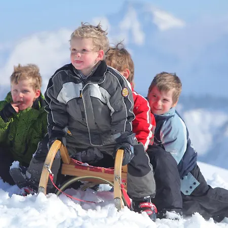 فندق Sonne - Familien- Und Bregenzerwald