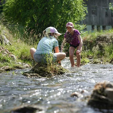 Sonne - Familien- Und Bregenzerwald 4*