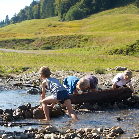 Sonne - Familien- Und Bregenzerwald فندق بيزاو